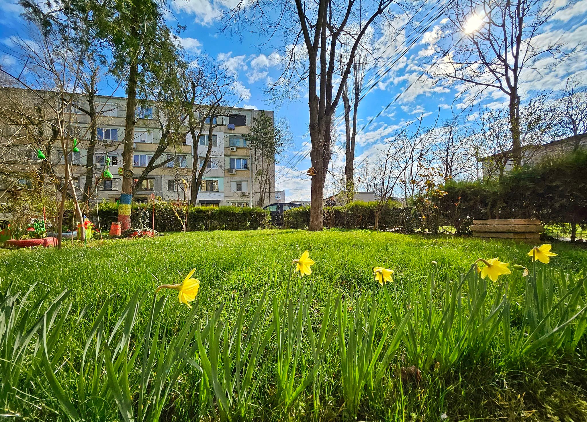 Grădină SUPERCON Galați - amenajare peisagistică